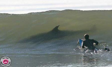 Je n'ai qu'une seule vie!!!!