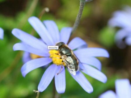 Il yen a qui prennent