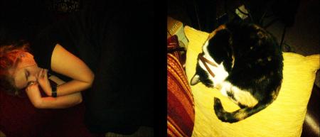 un ronronement dans les oreilles...