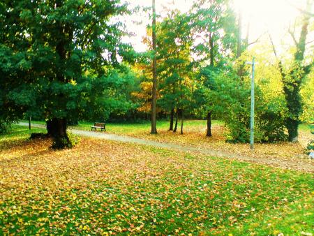 Moi j'aime l'automne